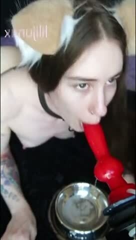 free tiny tit blow job video