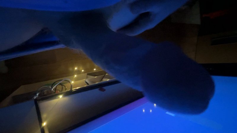 Britney Scarlet in eira adult — leaked adult video