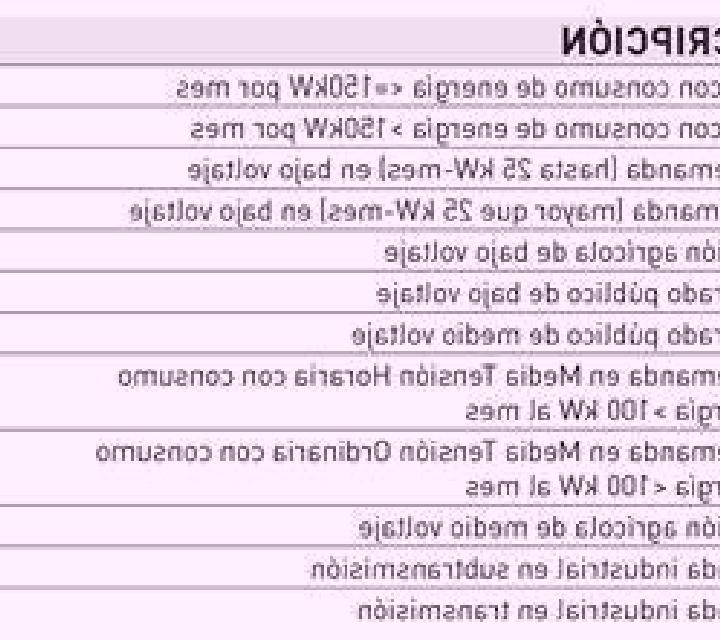 Nati Ferer model portrait